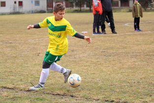 开云官网在线-CBA赛场激情四射青春无限,cba激情音乐